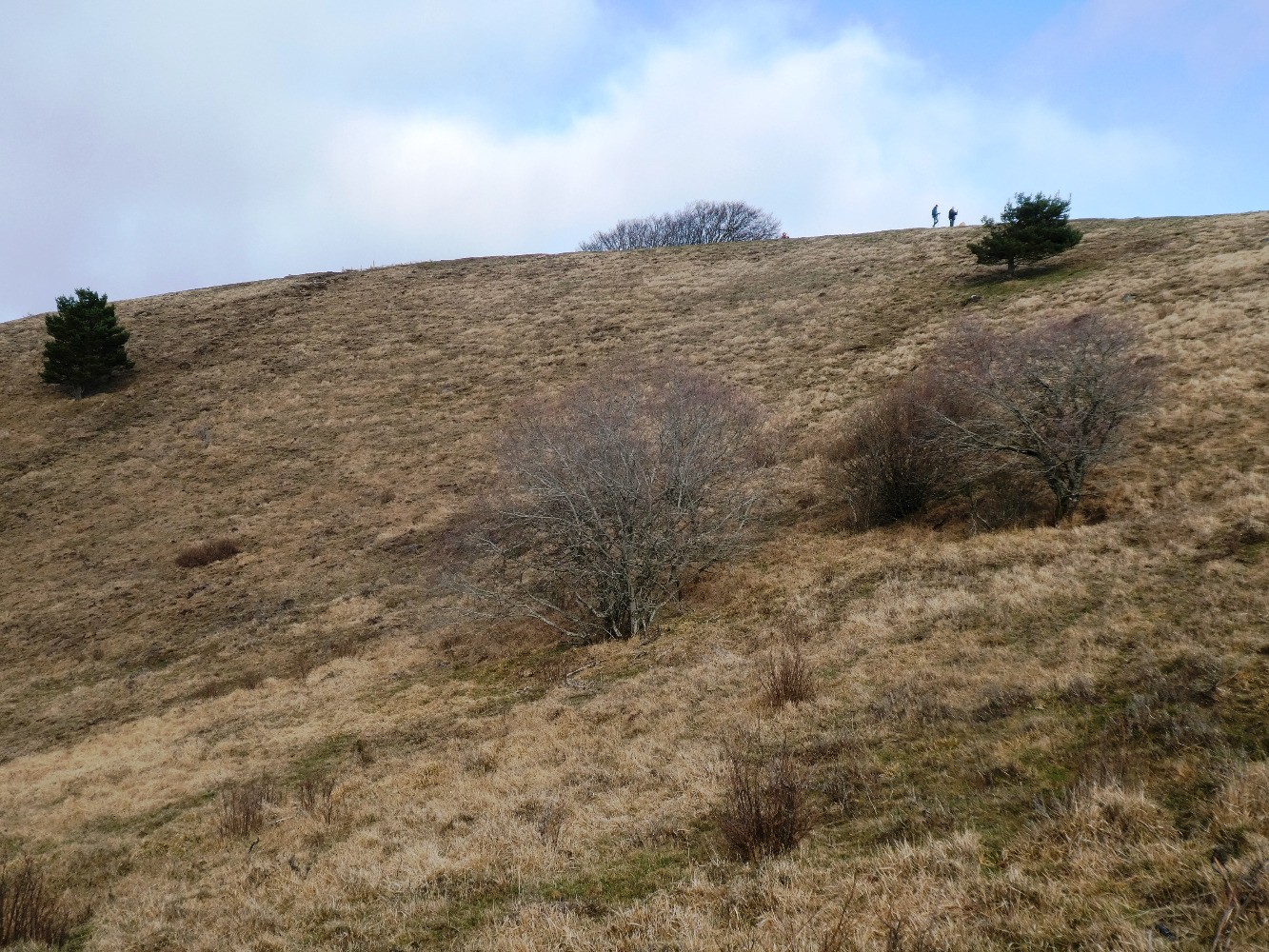 Puy des Goules, du fond du cratÃ¨re