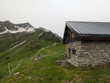 PXL_20240629_072033249.MP