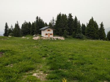 PXL_20240629_073555133