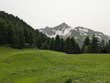 PXL_20240629_073844228