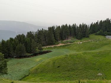 PXL_20240629_080058113.MP