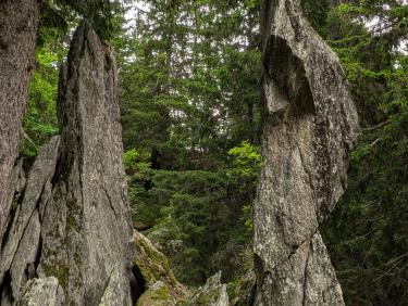 PXL_20240629_081304828.MP