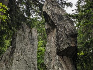 PXL_20240629_081440517