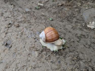 PXL_20240630_091247981