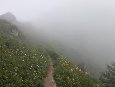 PXL_20240630_092721987.MP