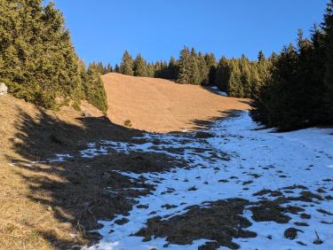 PXL_20241130_100657703.MP