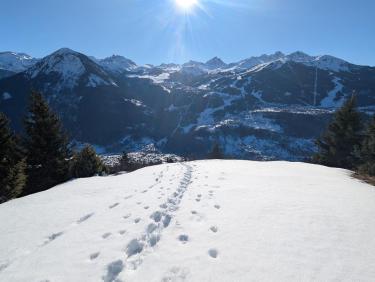 PXL_20241229_111814352.MP