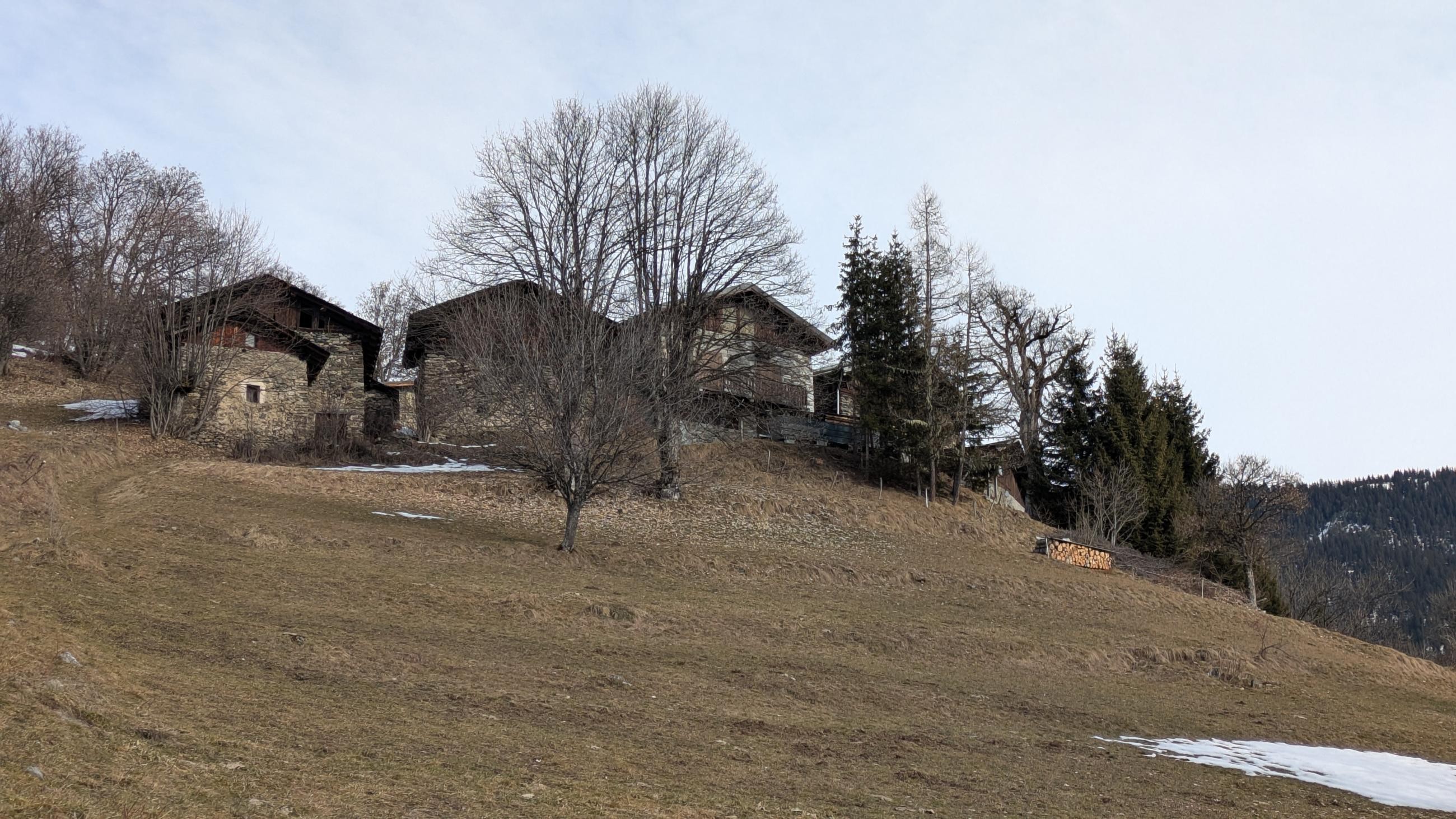 PXL_20250125_111205880