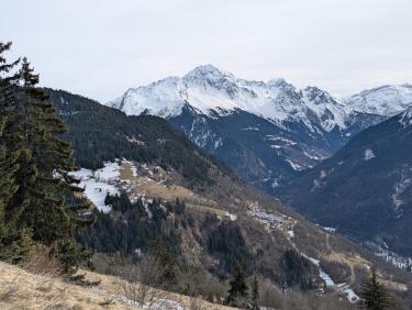 PXL_20250125_113653947