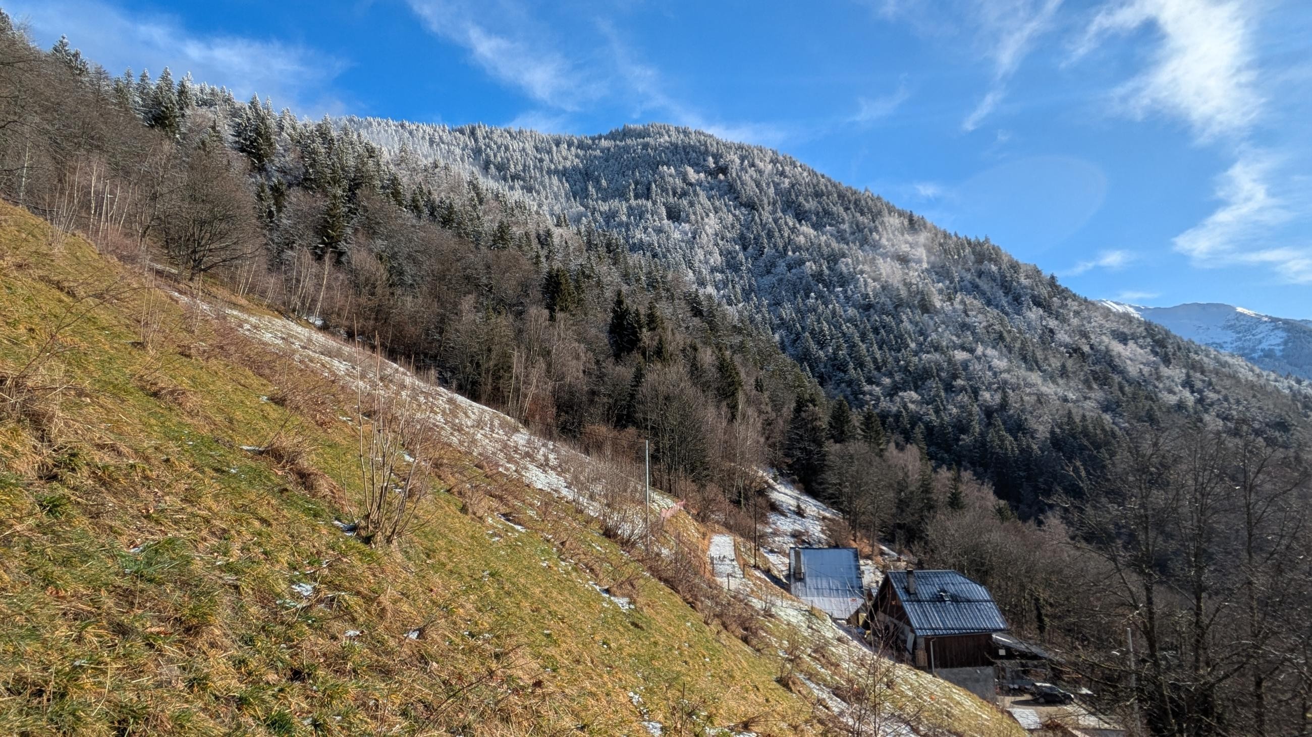 PXL_20250126_100734760