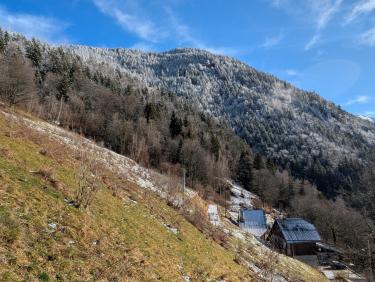 PXL_20250126_100734760