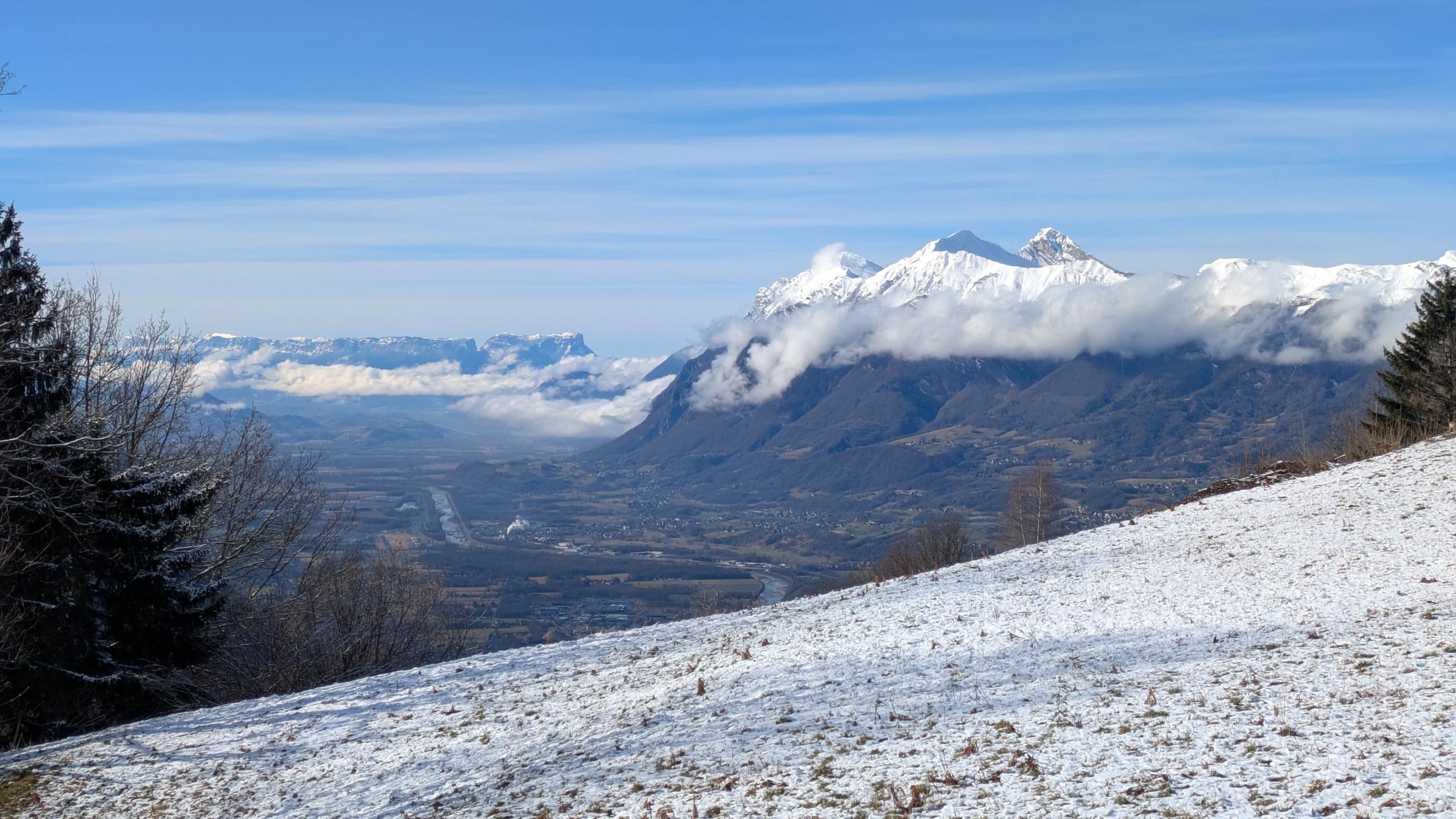 PXL_20250126_102020359