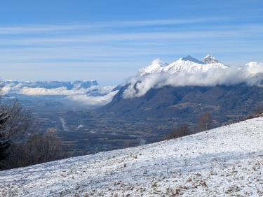 PXL_20250126_102020359