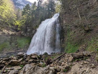 PXL_20250422_103927804.MP