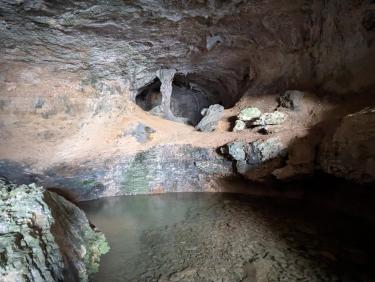 PXL_20250422_114619532