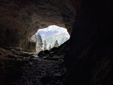 PXL_20250422_114746334.MP