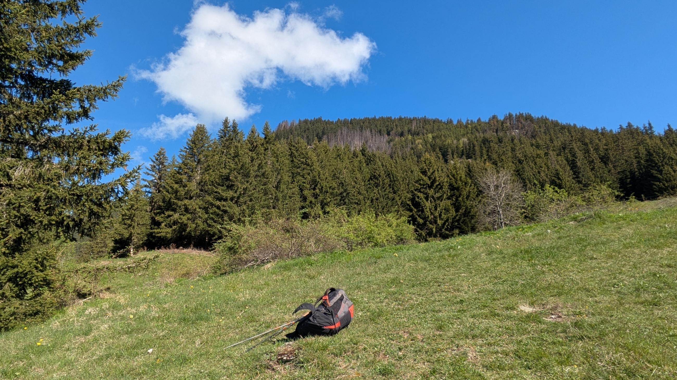 PXL_20250511_081316482.MP