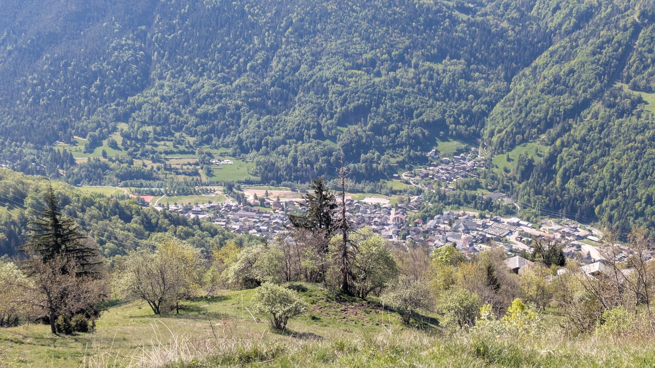 PXL_20250511_081332225.MP