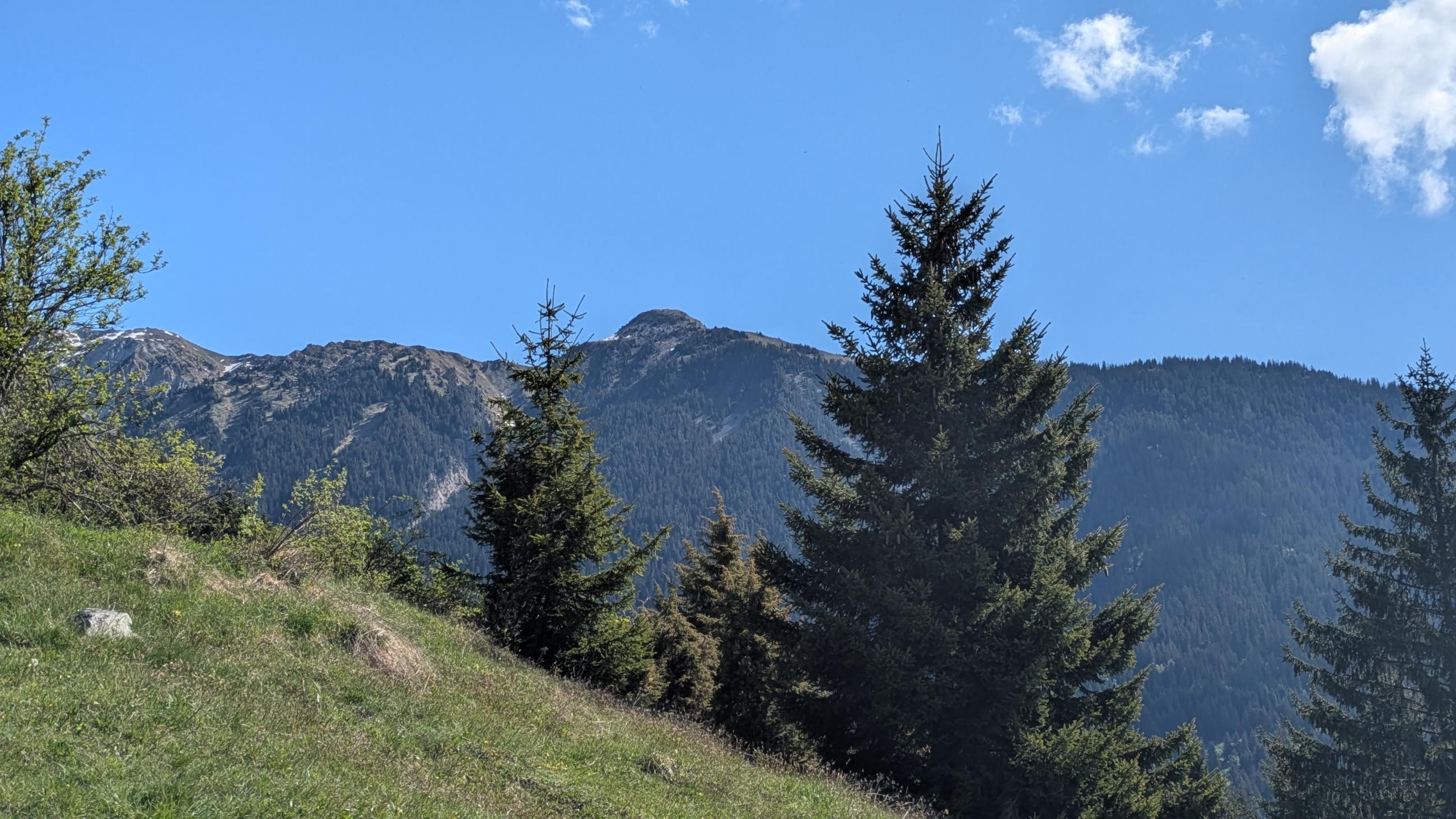 PXL_20250511_081422804.MP