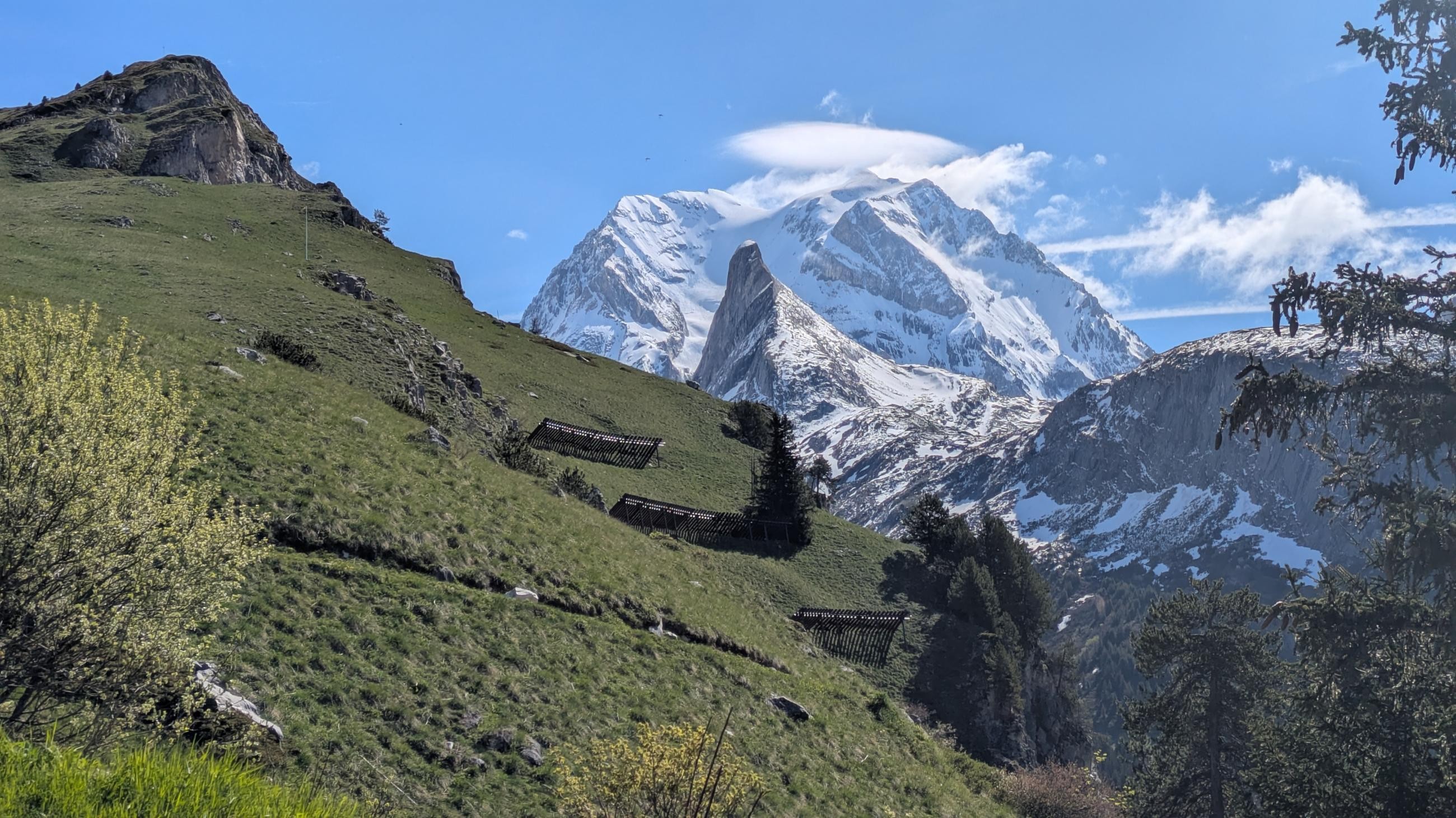 PXL_20250525_075836392.MP