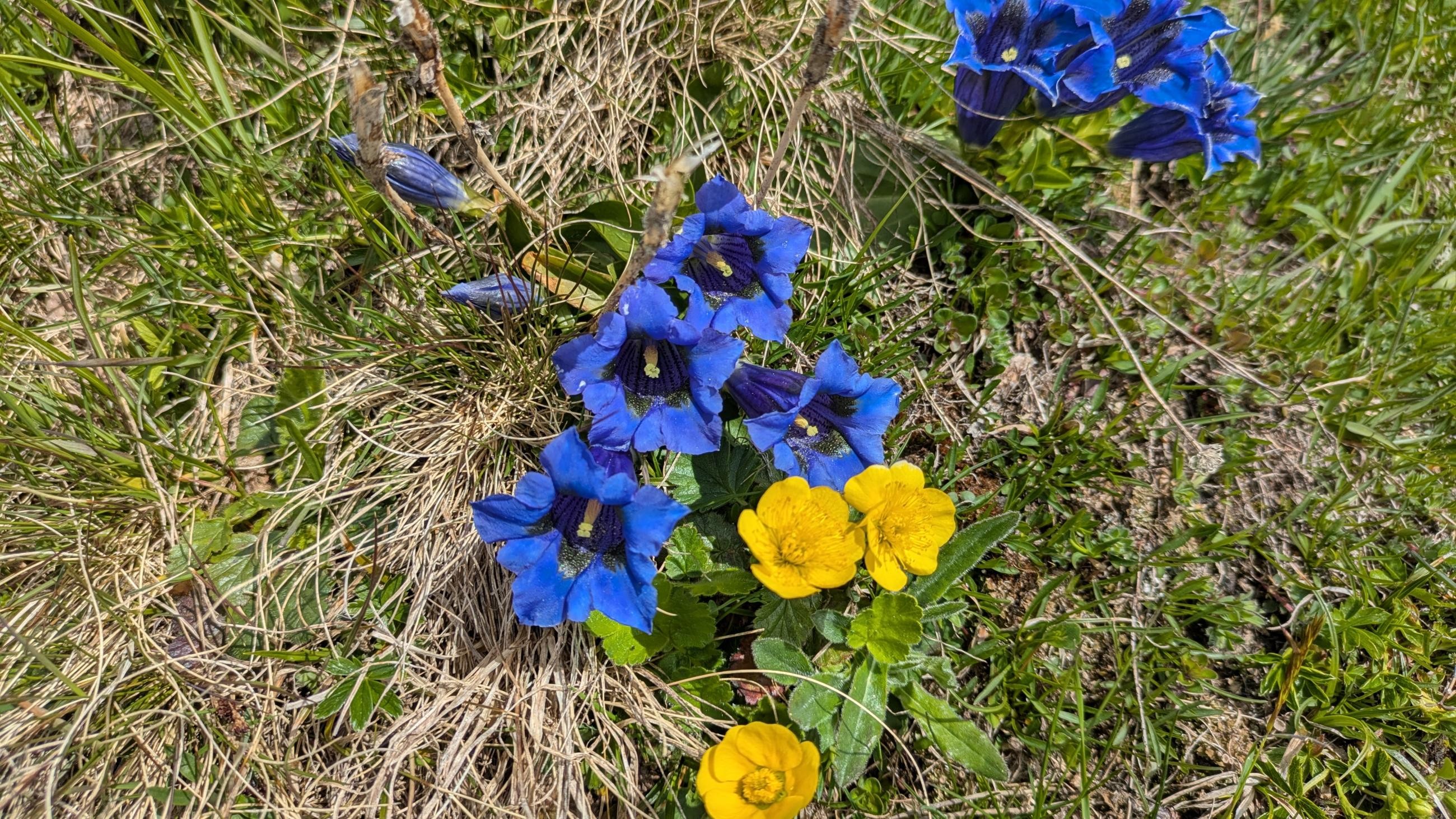 PXL_20250525_113541974.MP