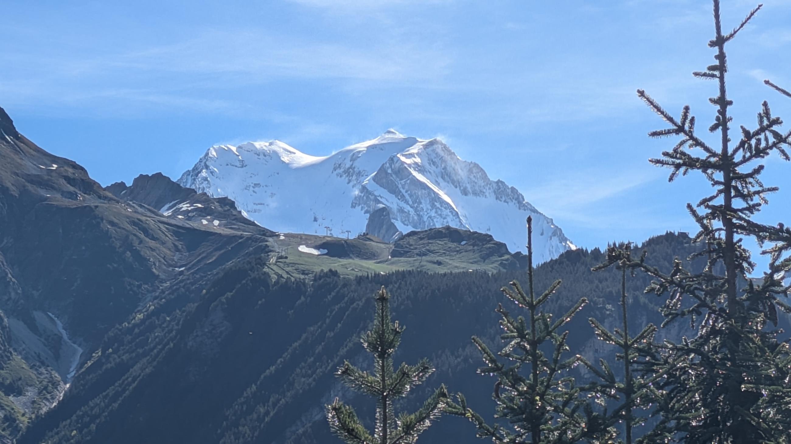 PXL_20250529_071135100.MP