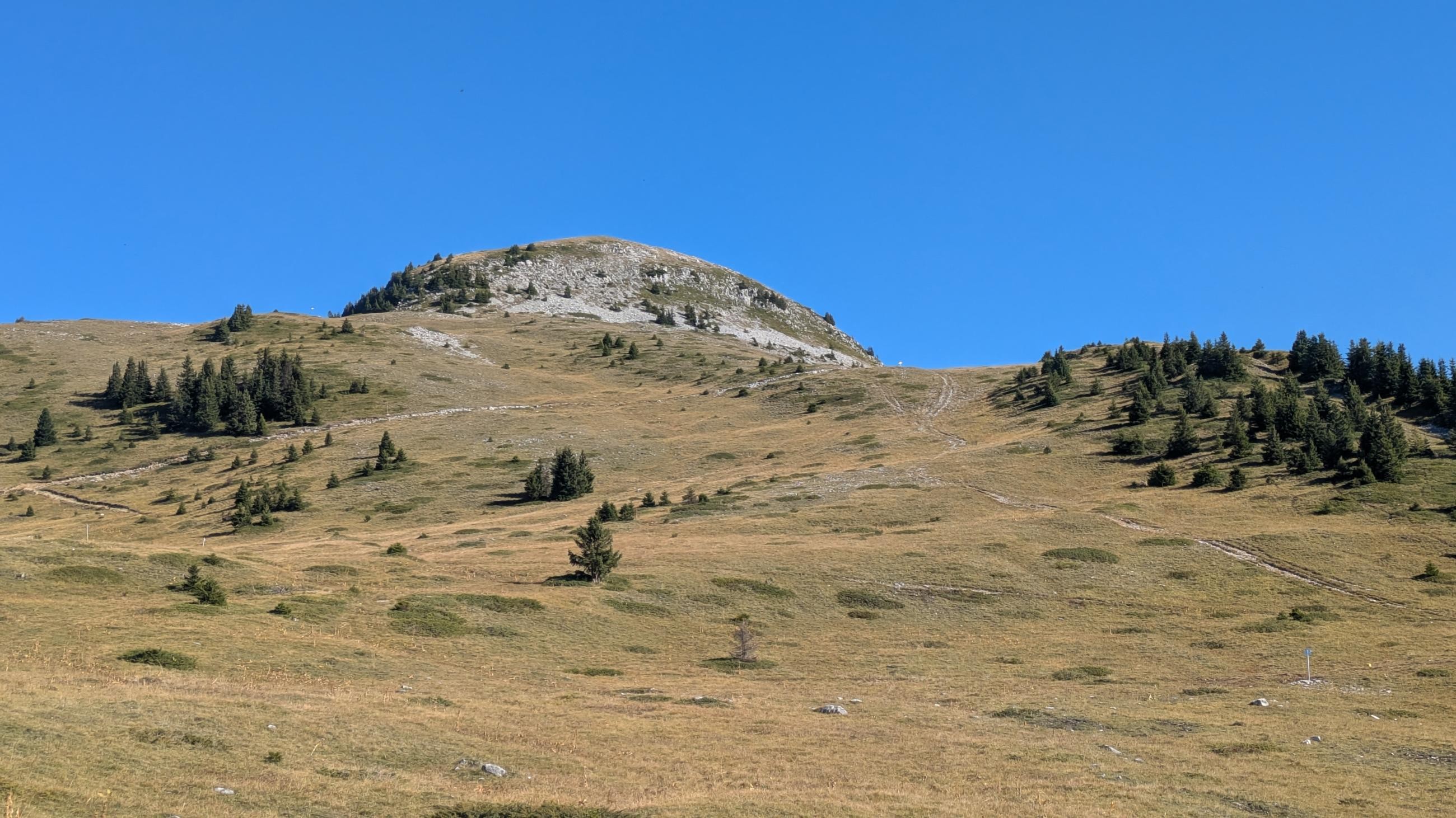 PXL_20250918_082608545