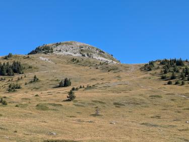 PXL_20250918_082608545