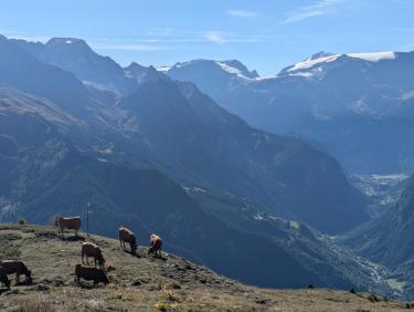 PXL_20250918_084833249