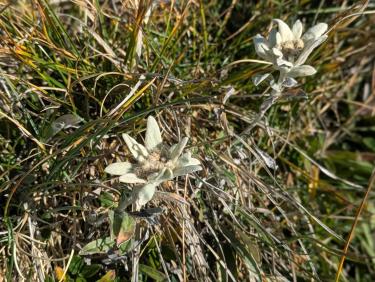 PXL_20250918_090003641.PORTRAIT