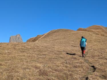 PXL_20251011_084246486