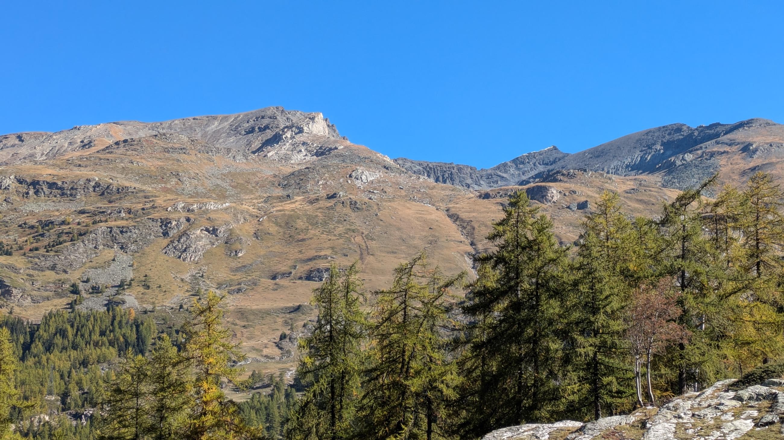 PXL_20251012_101530259.MP