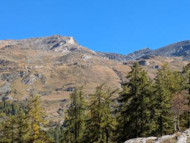 PXL_20251012_101530259.MP