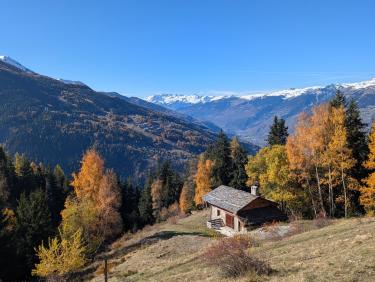 Plan de l'Ours (Vallandry) depuis Landry