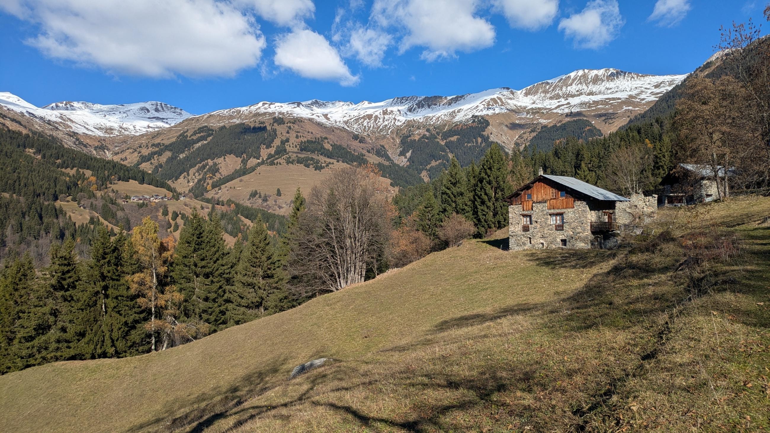 PXL_20251109_100833703