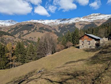 PXL_20251109_100833703