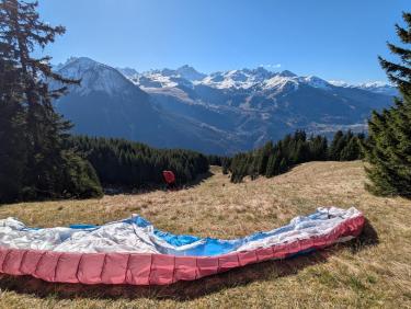 PXL_20251109_110721968