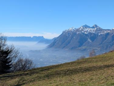 PXL_20251226_105516264.RAW-01