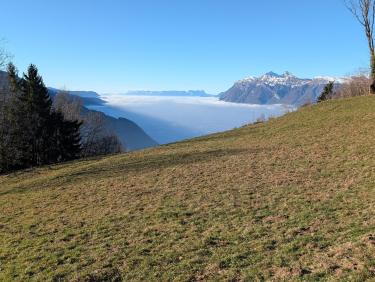 PXL_20251227_093910826.RAW-01