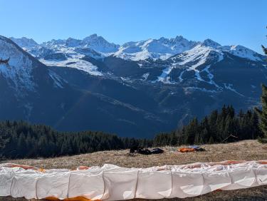 PXL_20251228_110221687.RAW-01