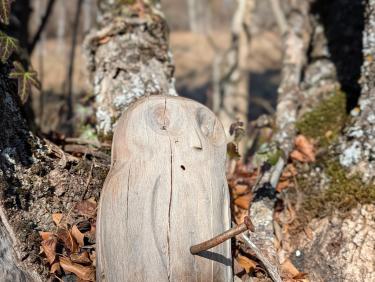 PXL_20260101_101551839.PORTRAIT