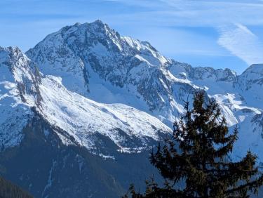 PXL_20260101_112011546.RAW-01