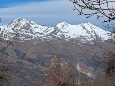 PXL_20260102_115117272.RAW-01