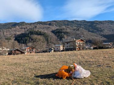 PXL_20260102_125115141.RAW-01.MP