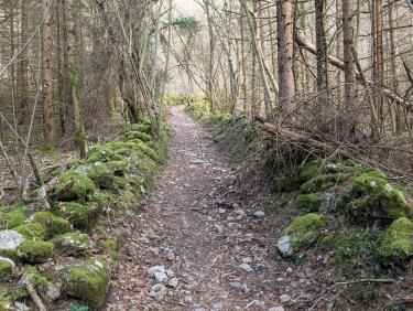 PXL_20260301_090037968.RAW-01