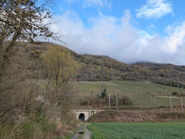 PXL_20260315_072900885.RAW-01