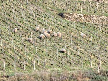 PXL_20260315_072921583.RAW-01