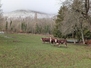 PXL_20260315_082436532.RAW-01