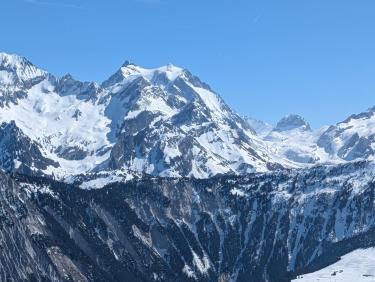 PXL_20260320_104442614.RAW-01