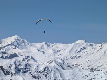 PXL_20260320_111703651.RAW-01